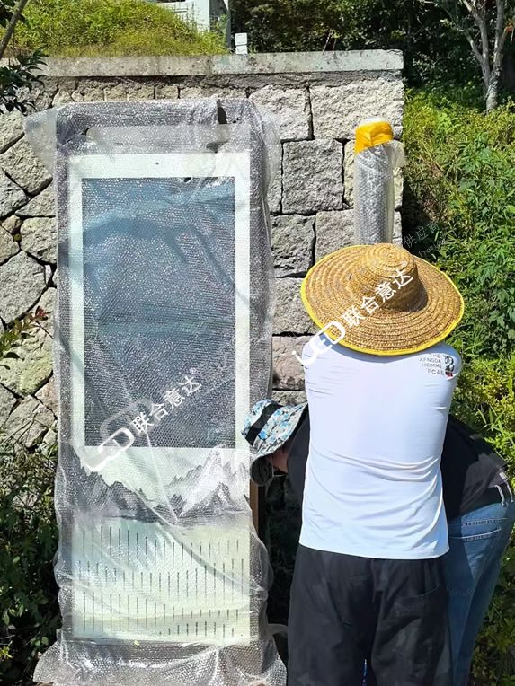 7.jpg